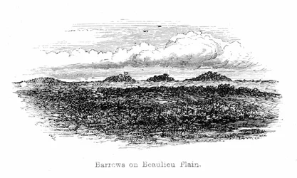 Tumulus sur Beaulieu Plain